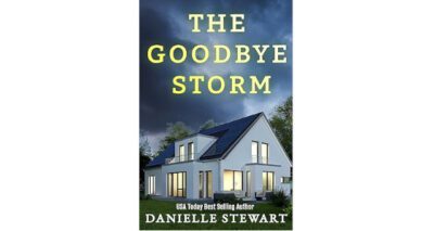 The Goodbye Storm