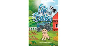 Life of Bailey: From Puppy to Dog
