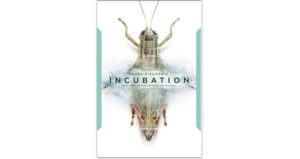 Incubation