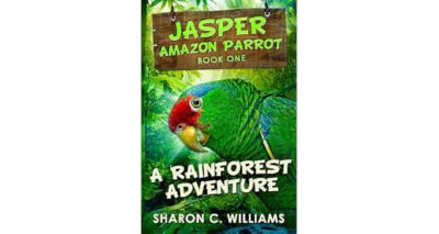 A Rainforest Adventure