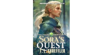 Sora’s Quest