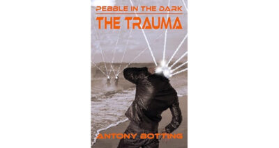 Pebble in the Dark – The Trauma